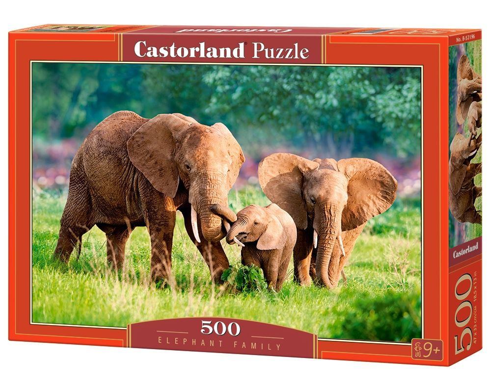 Elephant Family